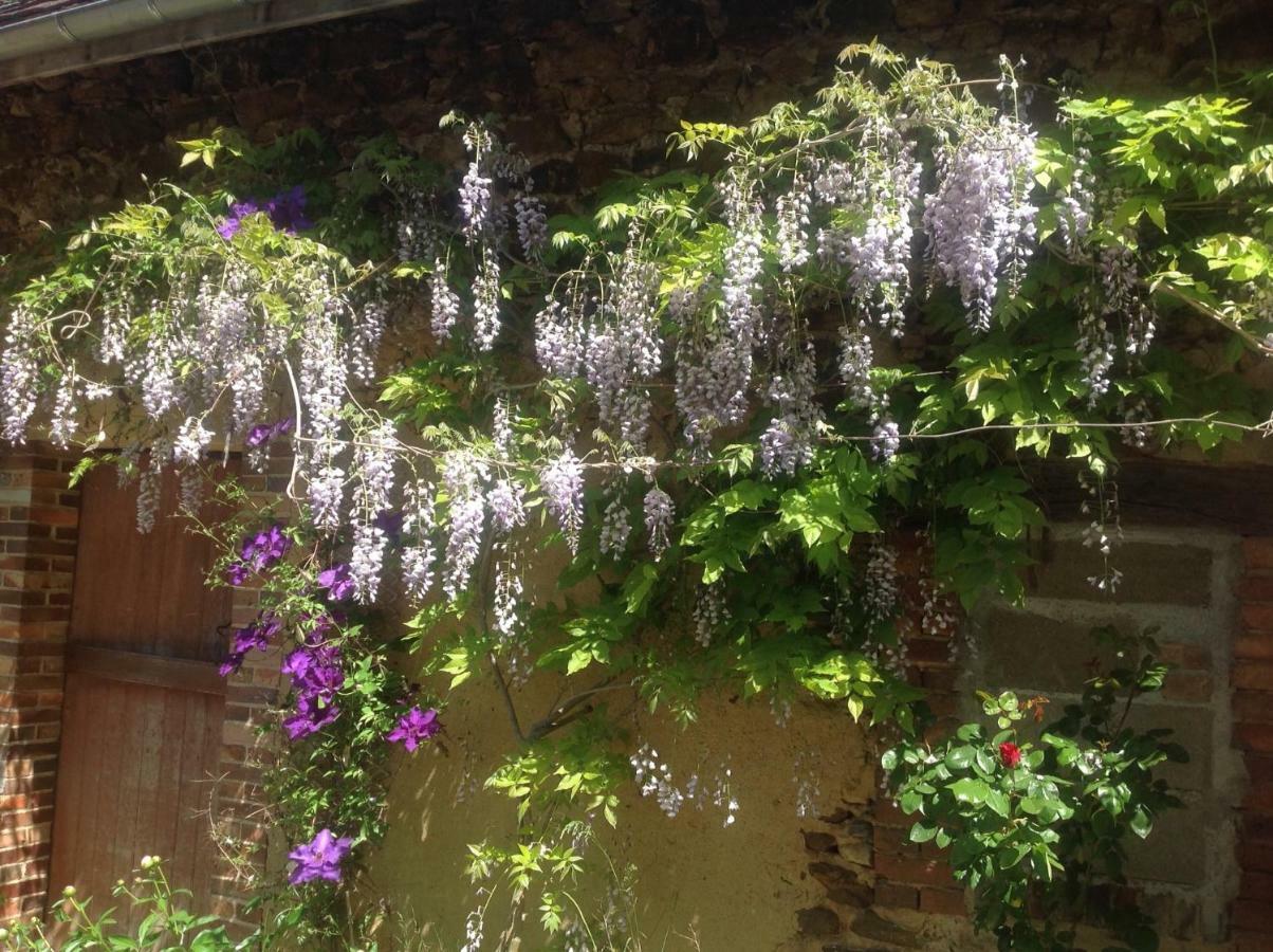 ホテル La Bicoque En Puisaye Saint-Amand-en-Puisaye エクステリア 写真