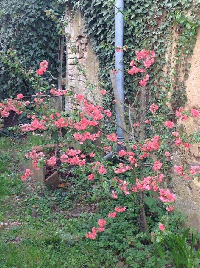 ホテル La Bicoque En Puisaye Saint-Amand-en-Puisaye エクステリア 写真